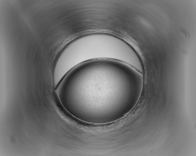 X0000112780013200908201538