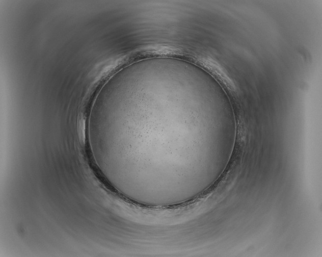 X0000112780014200908201538