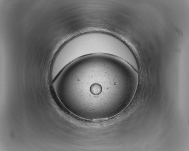 X0000112780015200908201538