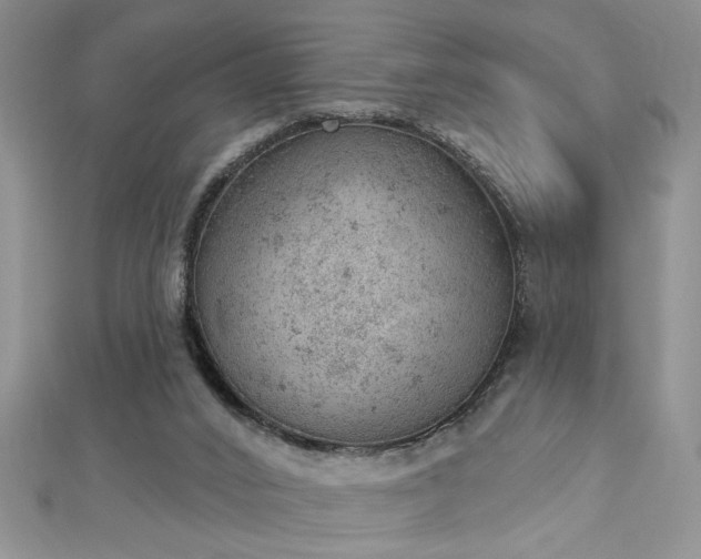 X0000112780016200908201538