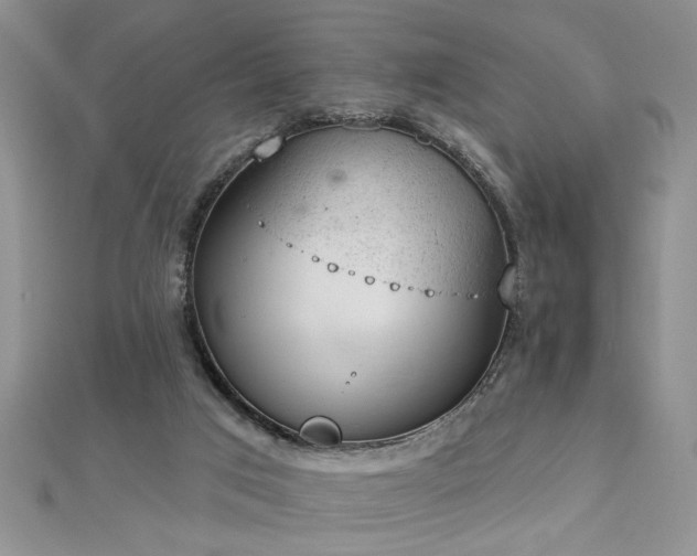 X0000112780017200908201538