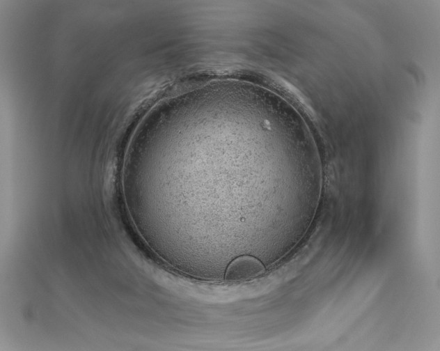 X0000112780018200908201538