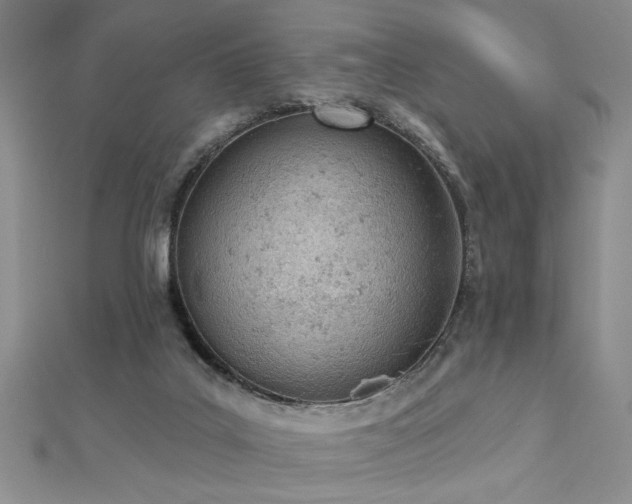 X0000112780019200908201538