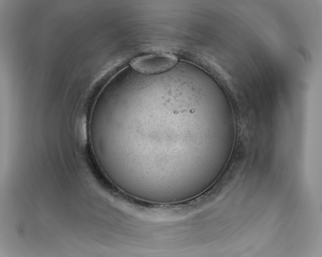 X0000112780020200908201538