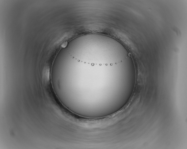 X0000112780021200908201538