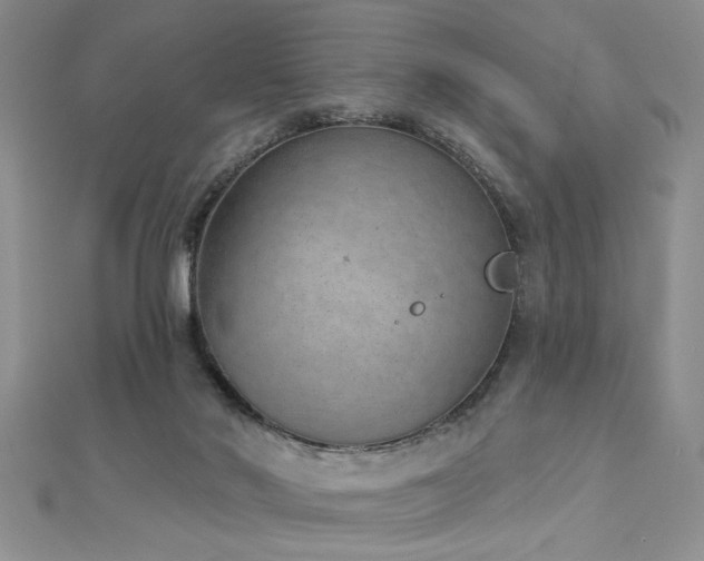 X0000112780022200908201538