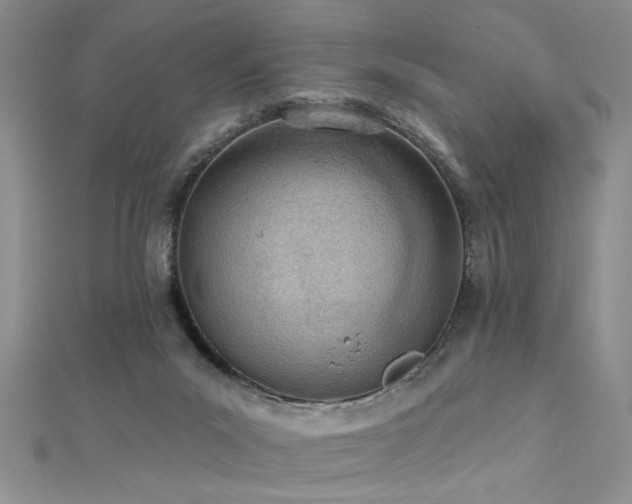 X0000112780023200908201538