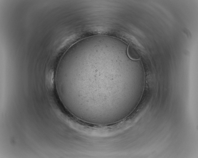 X0000112780024200908201538