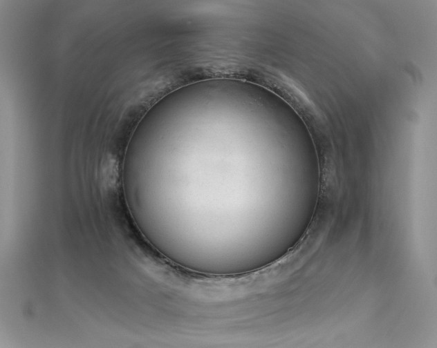 X0000112780025200908201538