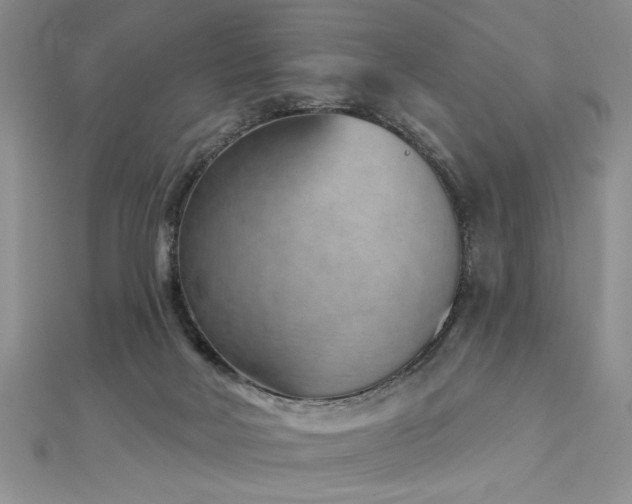 X0000112780026200908201538