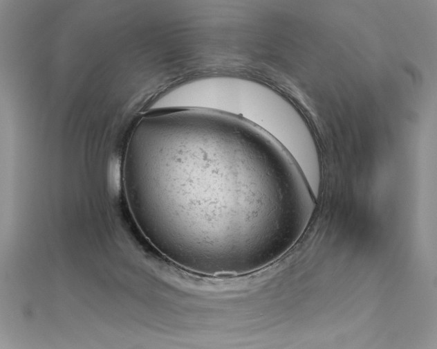 X0000112780027200908201538