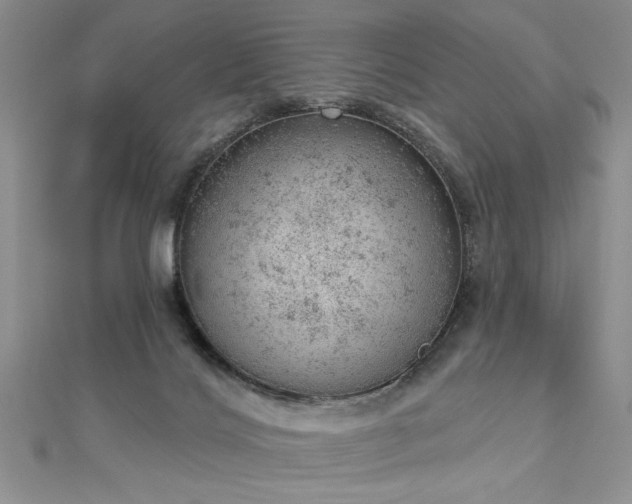 X0000112780028200908201538