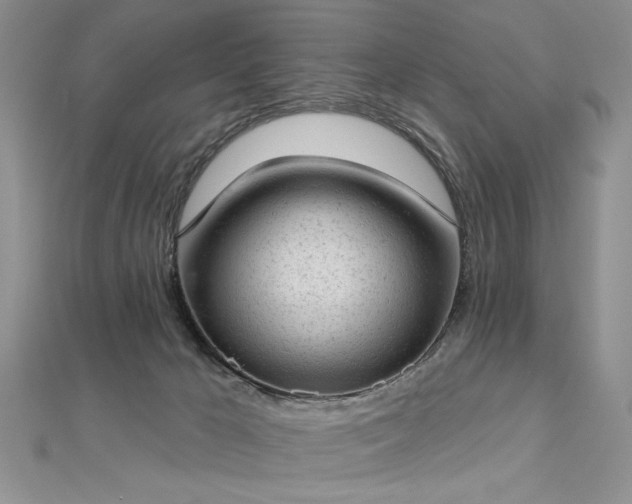 X0000112780029200908201538