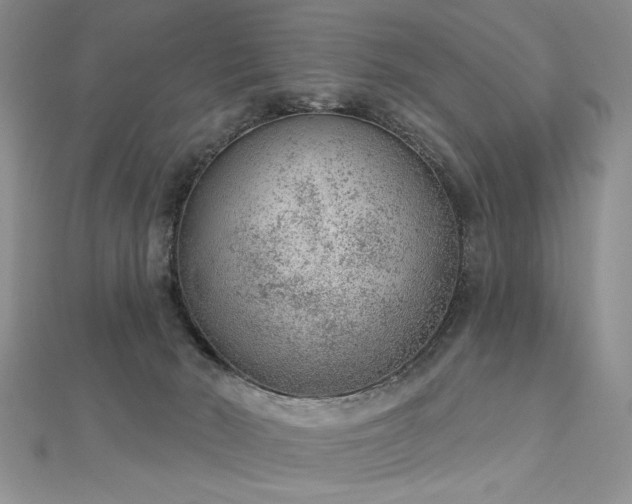 X0000112780030200908201538