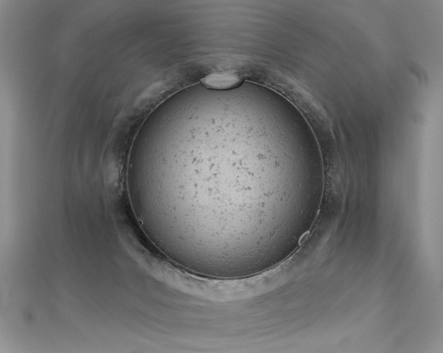 X0000112780031200908201538