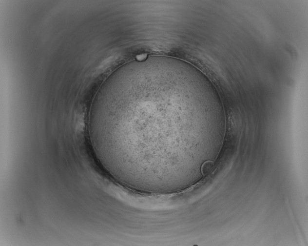 X0000112780032200908201538