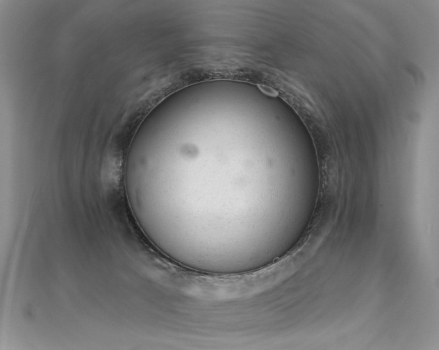 X0000112780033200908201538