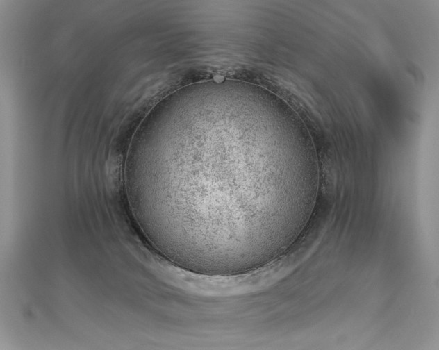 X0000112780034200908201538