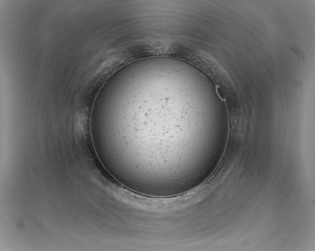 X0000112780035200908201538