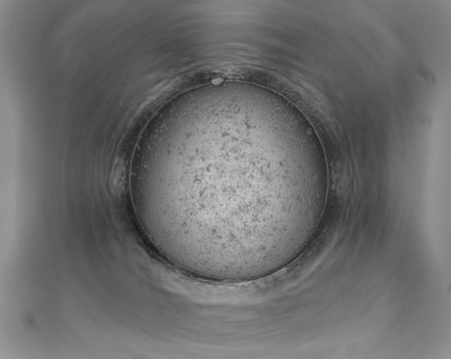 X0000112780036200908201538