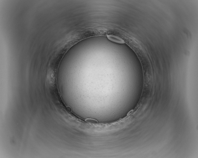 X0000112780037200908201538