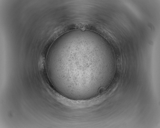 X0000112780038200908201538