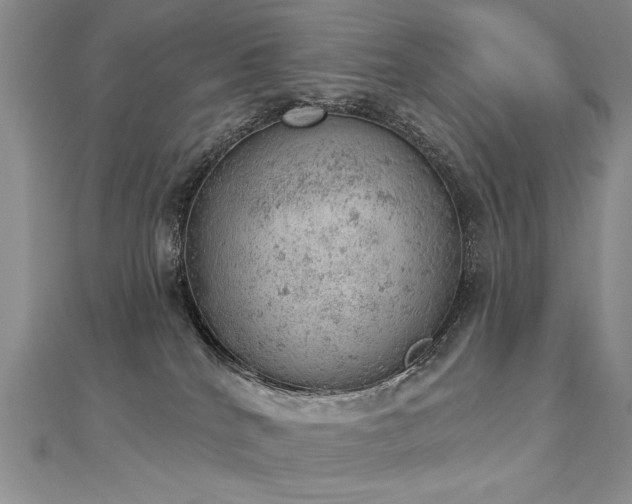 X0000112780040200908201538