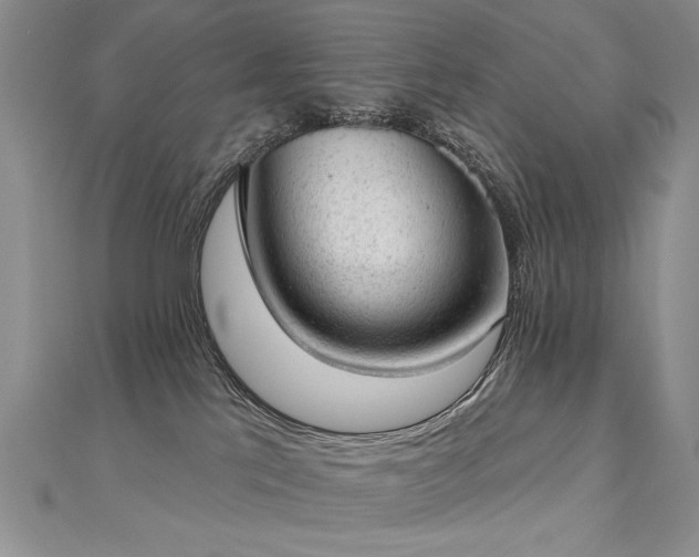 X0000112780041200908201538