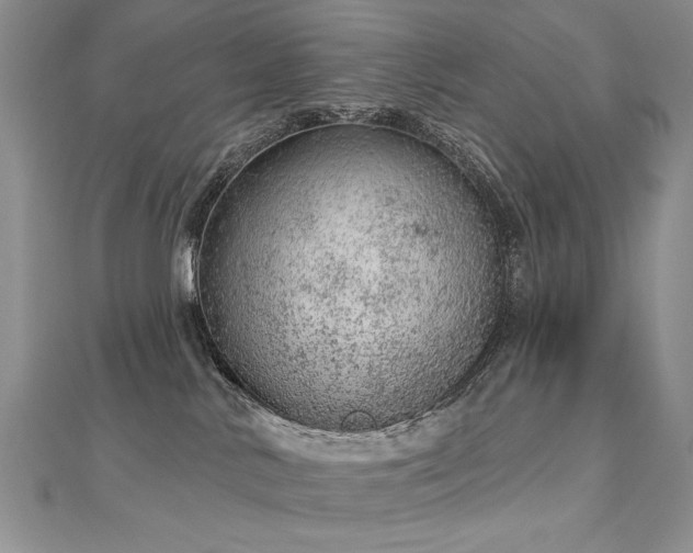 X0000112780042200908201538