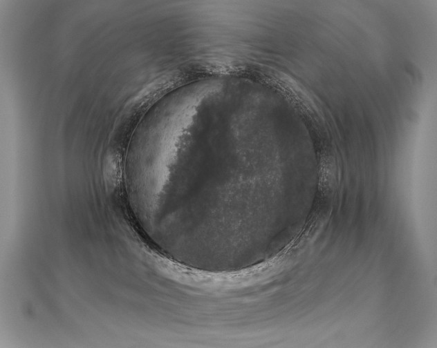 X0000112780043200908201538