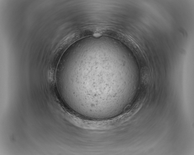 X0000112780044200908201538