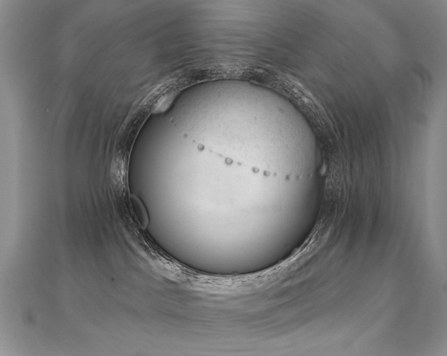 X0000112780045200908201538