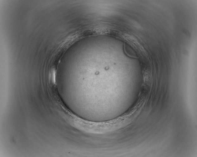 X0000112780046200908201538