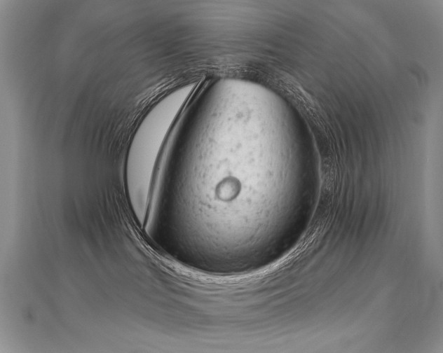 X0000112780047200908201538