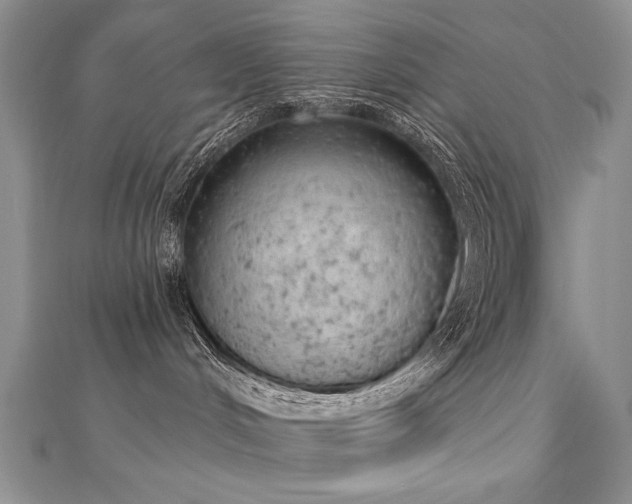 X0000112780048200908201538