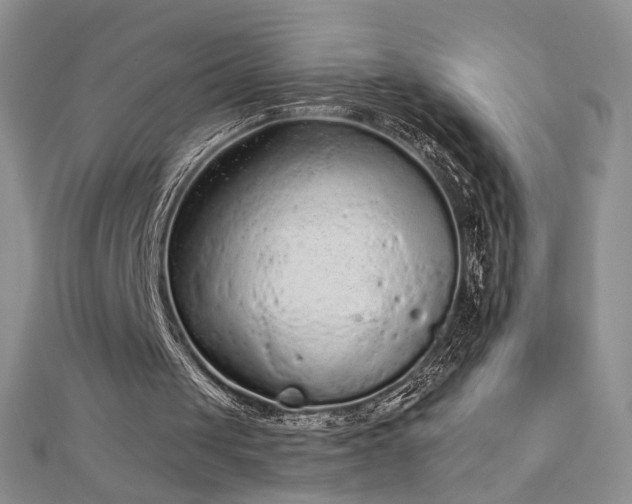 X0000112780049200908201537