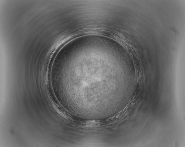 X0000112780050200908201537