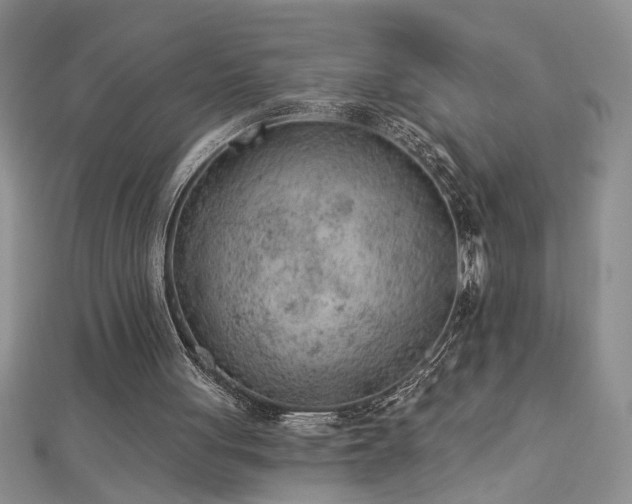 X0000112780051200908201537