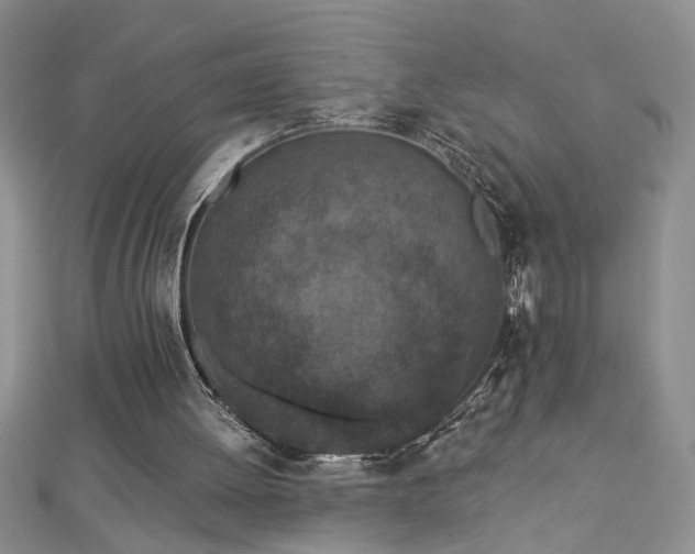 X0000112780052200908201537