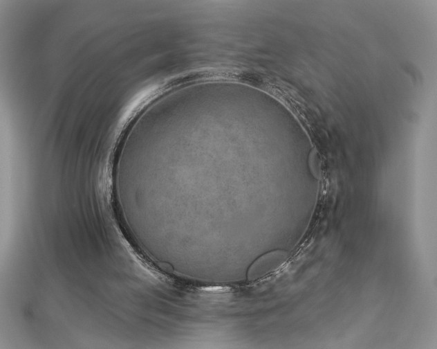 X0000112780053200908201537