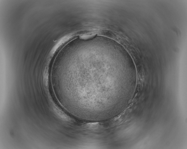 X0000112780054200908201537