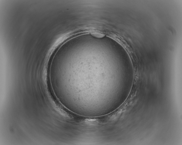 X0000112780055200908201537