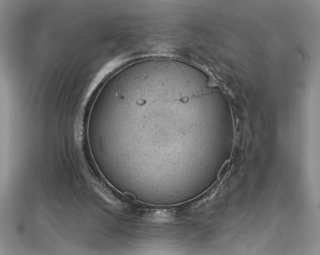 X0000112780056200908201537