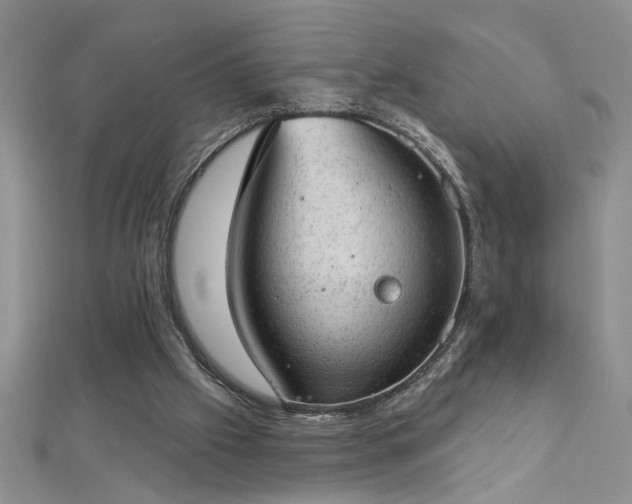 X0000112780057200908201537