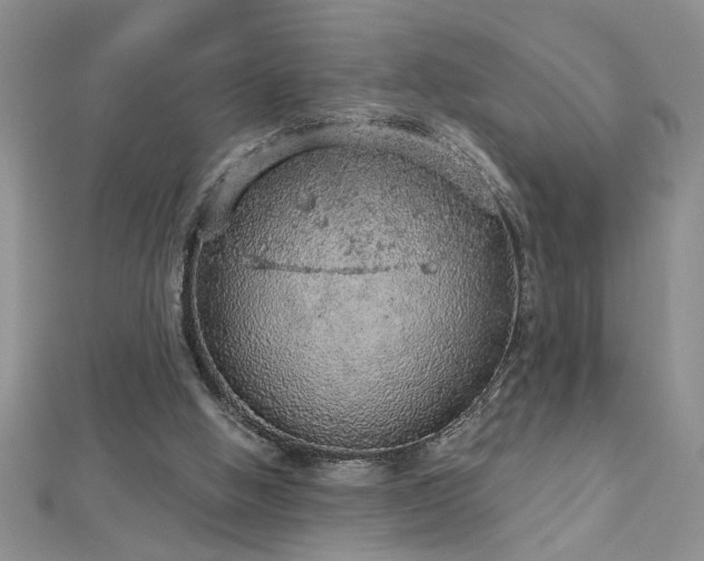 X0000112780058200908201537