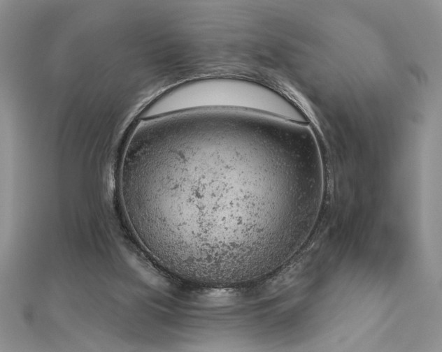 X0000112780059200908201537