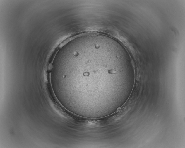 X0000112780060200908201537