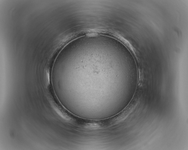 X0000112780061200908201537