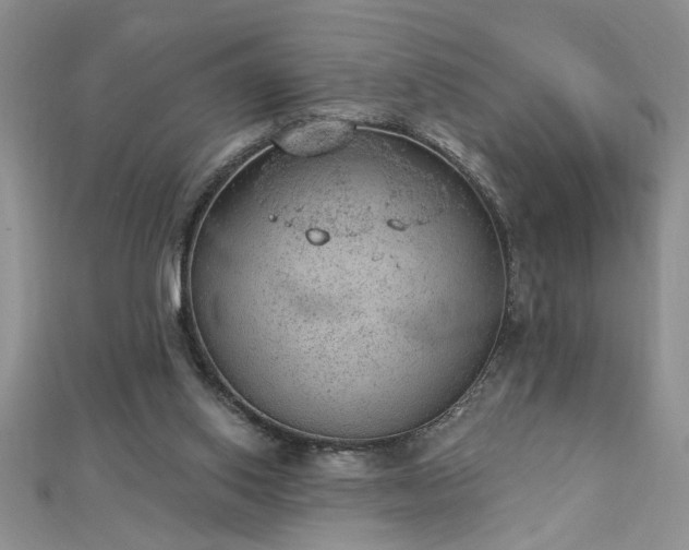 X0000112780062200908201537