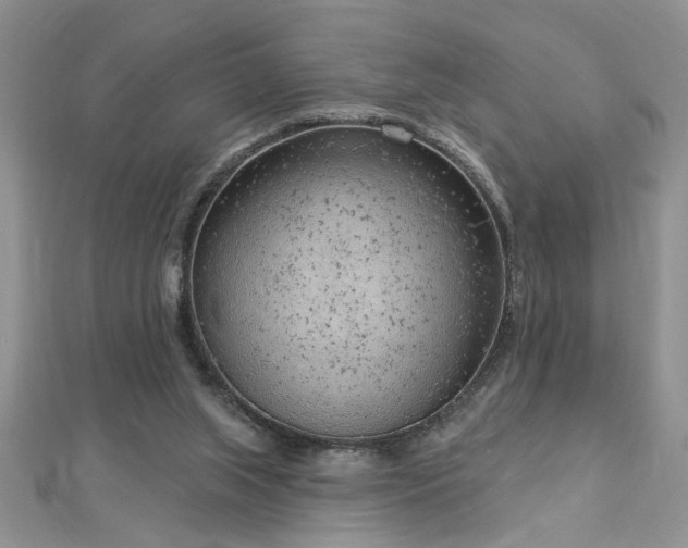 X0000112780063200908201537